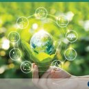 녹색자동차써비스 이미지