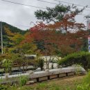 다덕파크 이미지