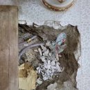 대곡리 화장실 이미지