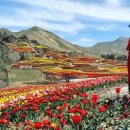 도리 마을회관 | 경주 도리마을, 인기이유, 후기 존잼