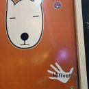 개집비어(익산영등점) 이미지