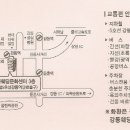 박혜진 목사님 장남 천병화군 결혼식장 오시는 길 이미지
