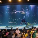 대구기상대기념공원 이미지