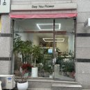 희야꽃집 | 여수 꽃집 데이유플라워 웅천점: 특별한 날을 위한 꽃다발 추천