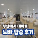 여니약국 | 대마도 당일치기 배편 예약 시간 노바 부산항 타는 방법 가격 후기