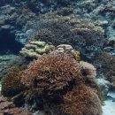 바다여행 이미지