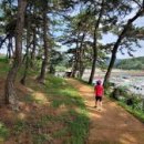 유달산둘레길 이미지