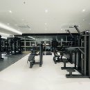 바디와이즈 이미지