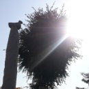 당산농원 이미지