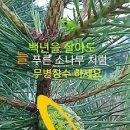 오정동상가 이미지