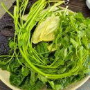 닭오리의 꿈 이미지