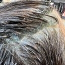 오늘염색 이미지