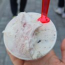 중앙동주민센터 | 강릉 중앙동 카페 추천! 쫀득함이 살아있는 '하이젤라또' 솔직 방문 후기