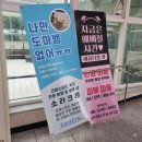 소라크레 | 성남 파충류샵 소라크레 남위례역 근처 크레스티드 게코 전문 도마뱀 분양