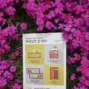 부모님의집 네이버블로그