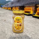 벧엘 양봉 이미지