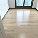 썬특수조명