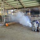 연무농장 이미지