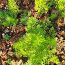 화순베스트요양병원 이미지