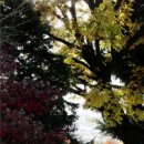 마산박물관 이미지