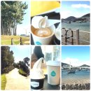 웅천지웰1차아파트 (공원건너) | 주말 가볼만한 곳 추천💙 바다 건너 만난 여수 예술의 섬 “장도”