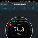 에그원 티스토리