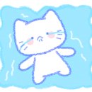 투썸플레이스경산신대점