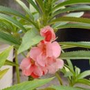 한빛유치원 이미지