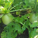 입동농장 이미지