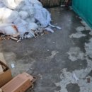 성진자원 이미지