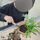 용주초등학교 이미지