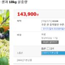 국선농장 네이버블로그