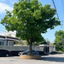 스테이 브라이튼 이미지