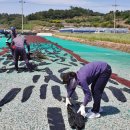 회진면행정복지센터 이미지