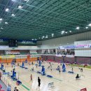 초등 배드민턴 2 이미지