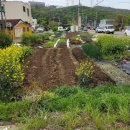 장안할매집 이미지