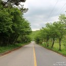 수련교 앞1 이미지