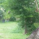 경주코튼빌리지 이미지