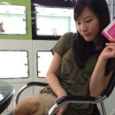 퍼피즌동물병원 이미지