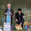 퍼피리트(PUPPY LIT) | 일산 강아지 분양 포메라니안 분양 전문 퍼피리트(PUPPY LIT)도그쇼 DOG SHOW “Best In Show” 핸들러...