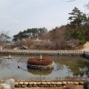 연담 이미지