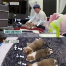 개밥주는 남자 이미지