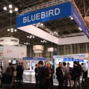 블루버드 이미지