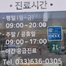 삼성동물병원 | 산타 살찌우러 갔다가 깜짝 놀란 속초동물병원 속초 삼성동물메디컬센터 방문 후기!