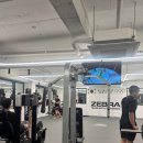 평화체육관(Pyeonghwa gym) | 목포종합격투기 처음이라면 추천｜선수촌GYM 이용 후기