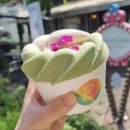 피오르디 젤라또 | [태안 카페 추천] 피오르디젤라또 / 젤라또 맛집을 찾는다면?