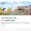 공감애견학교 | [광주]- 신가동 캠핑식당 추천 애견동반가능 “웰컴투바베큐”