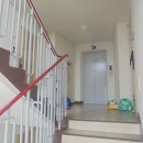 평화로03 이미지