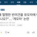 "왜 멀쩡한 반려견을 유모차에 태우나요?"…'개모차' 논란 이미지