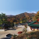 용문사 이미지